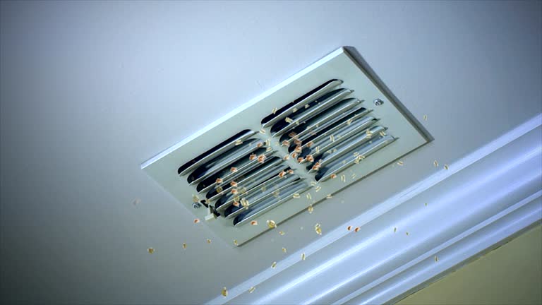 Trusted Flora, IL Airduct Cleaning Experts