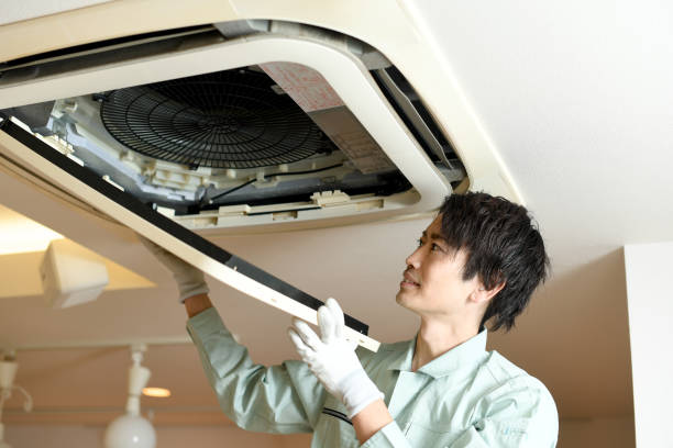 Air Duct Mold Removal in Flora, IL